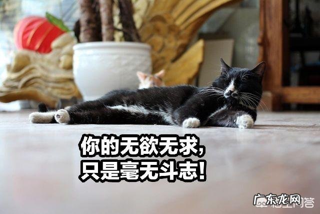 喜欢独处的生活方式到底好不好呢