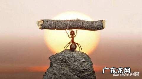 喜欢独处的生活方式到底好不好呢