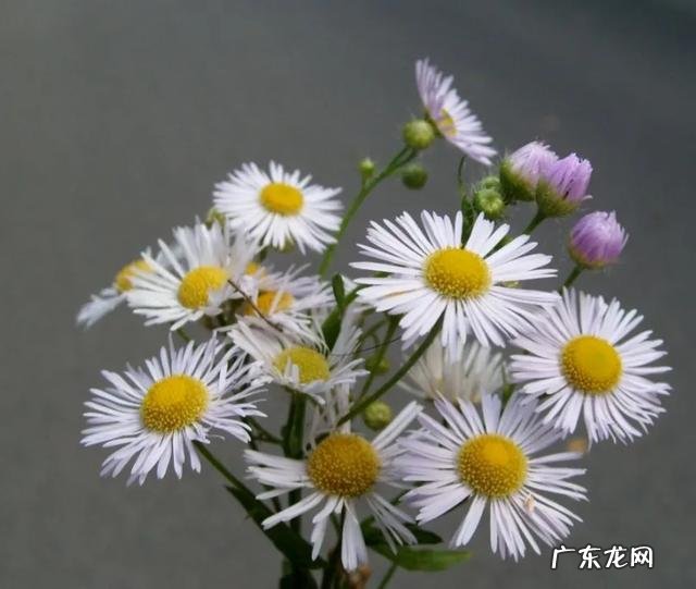 夫妻冷暴力,无性婚姻,如何解决这一问题?