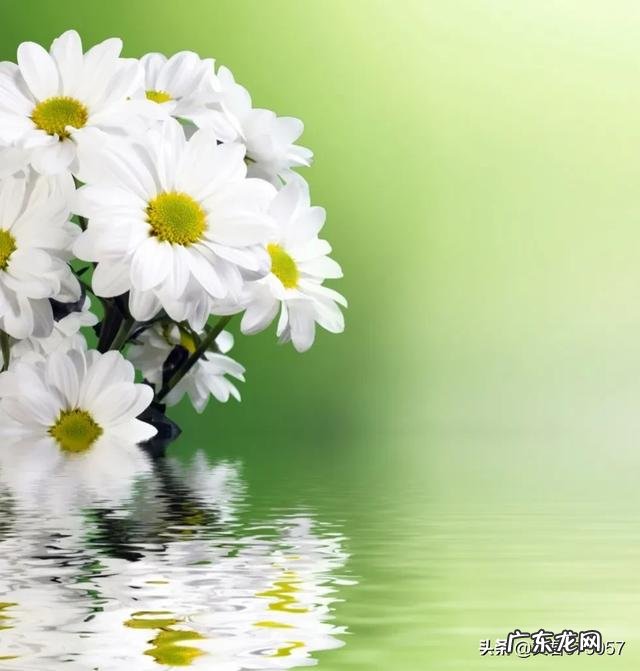 夫妻冷暴力,无性婚姻,如何解决这一问题?