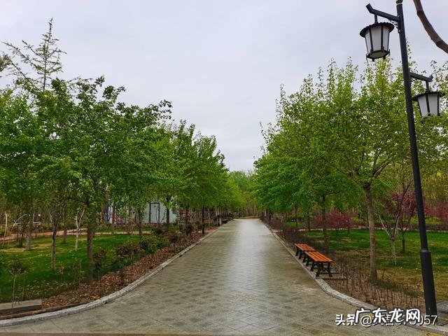 夫妻冷暴力,无性婚姻,如何解决这一问题?