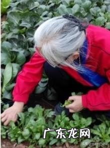 夫妻冷暴力,无性婚姻,如何解决这一问题?