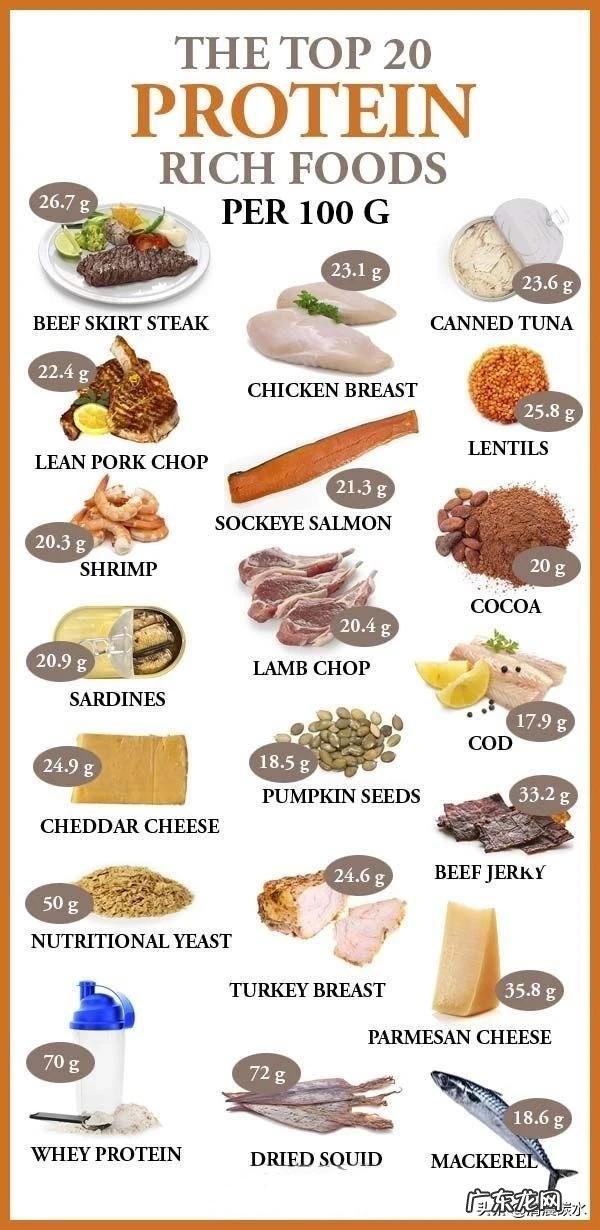 减脂的人吃蛋白粉合适吗?