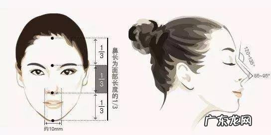 隆鼻都有什么样的鼻型图 隆鼻对自己的鼻型的看法