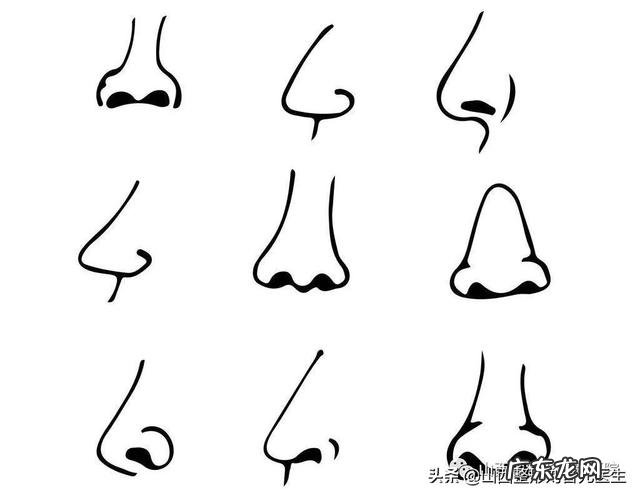 关于隆鼻你最关心的几个问题 关于隆鼻你知道多少