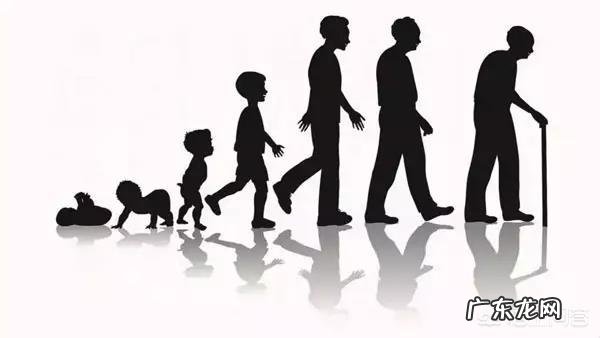 人类寿命到底可以延长多久呢