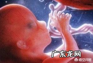 刚怀孕，孕酮低会影响胎儿吗？