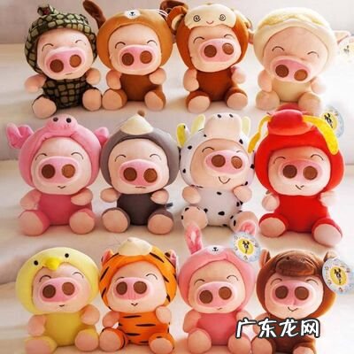 地肖是哪几个肖