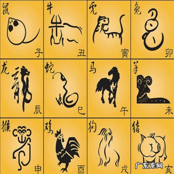 地肖是哪几个肖