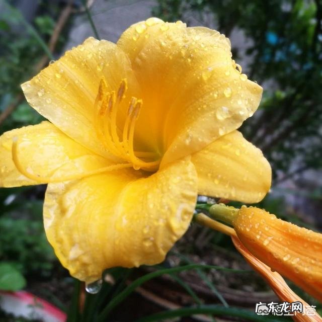 喜欢音乐,如何将音乐变成工作?