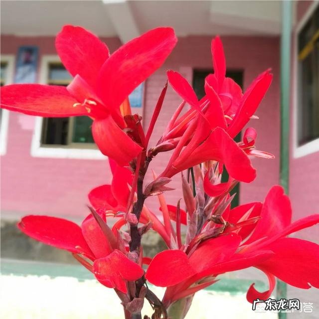 喜欢音乐,如何将音乐变成工作?