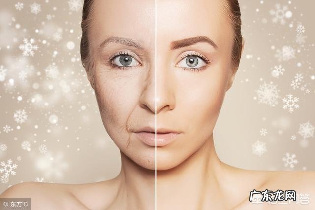 黑豆、黑米和芝麻滋养功效有什么区别?