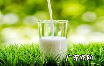 喝纯牛奶会拉肚子,怎么样调整可以喝牛奶不拉肚子呢?