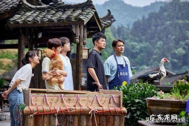 请畅所欲言 怎么看待最新一季的向往的生活的广告植入??