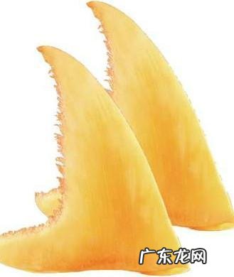 冬天,什么家常菜最下饭?