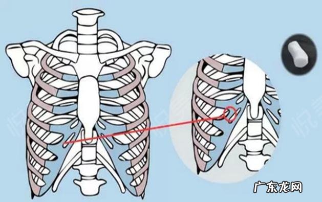 隆鼻方式很多到底该怎么选 最理想的隆鼻方式