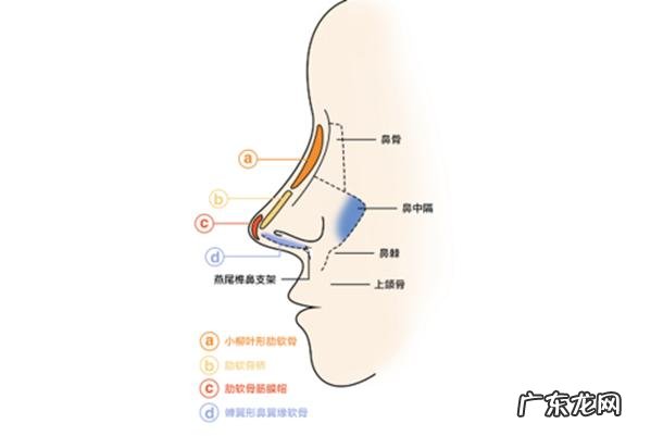 隆鼻方式很多到底该怎么选 最理想的隆鼻方式