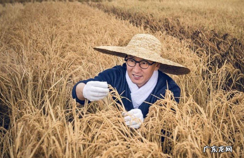 16年翻车的周杰,如今自爆当年事件之原因,竟和林心如是这种关系