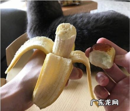 为什么香蕉和枣一起吃，会产生那么奇妙的味道？