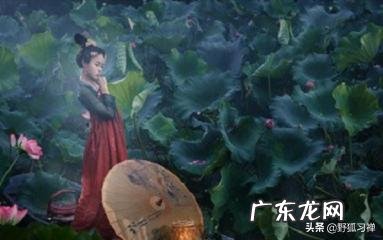 你有什么好书可以推荐一下吗?