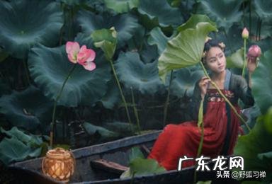 你有什么好书可以推荐一下吗?