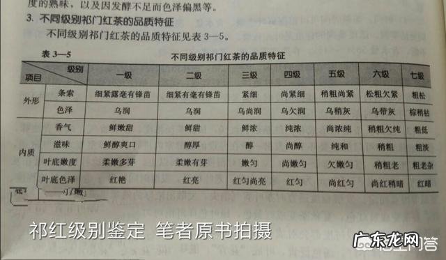 新鲜生姜加祁门红茶，能否长期一起泡茶喝？
