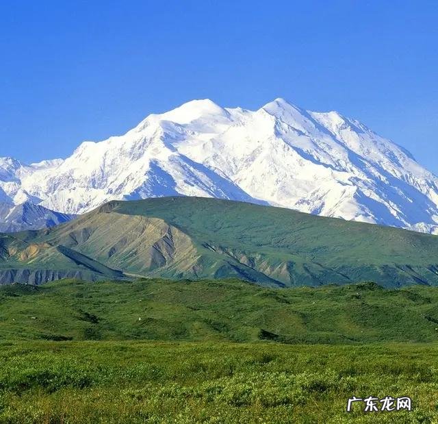 现在是吃桃子的季节吗,怎么样? 现在的季节有桃子吗