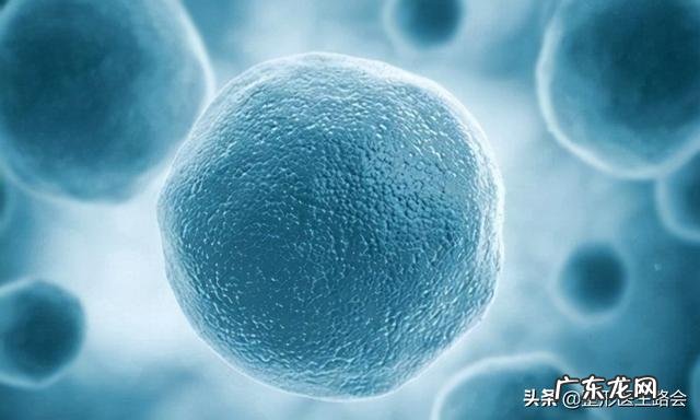 哪种隆鼻材料受欢迎 哪种隆鼻材料比较好