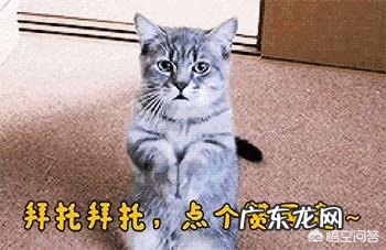 自己在家，除了跑步，还能做哪些有氧运动？