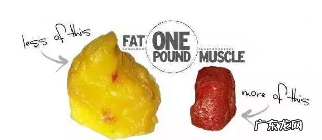 破壁机与豆浆机相比,有哪些优势?