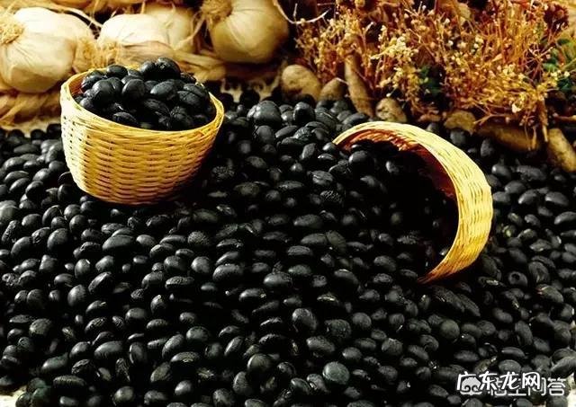 中医预防和zhi疗疾病中心思想是什么?