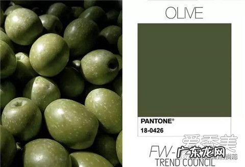橄榄绿是什么颜色 2018流行色橄榄绿图片