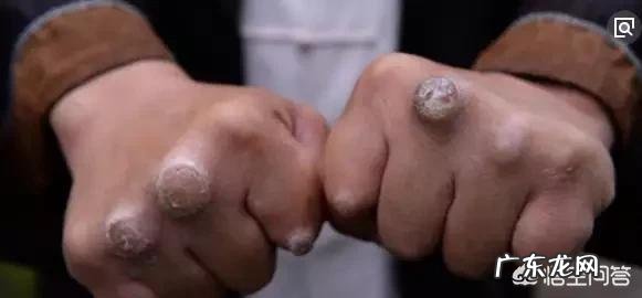 如果当年泰森应战何道君会是怎样的结局?