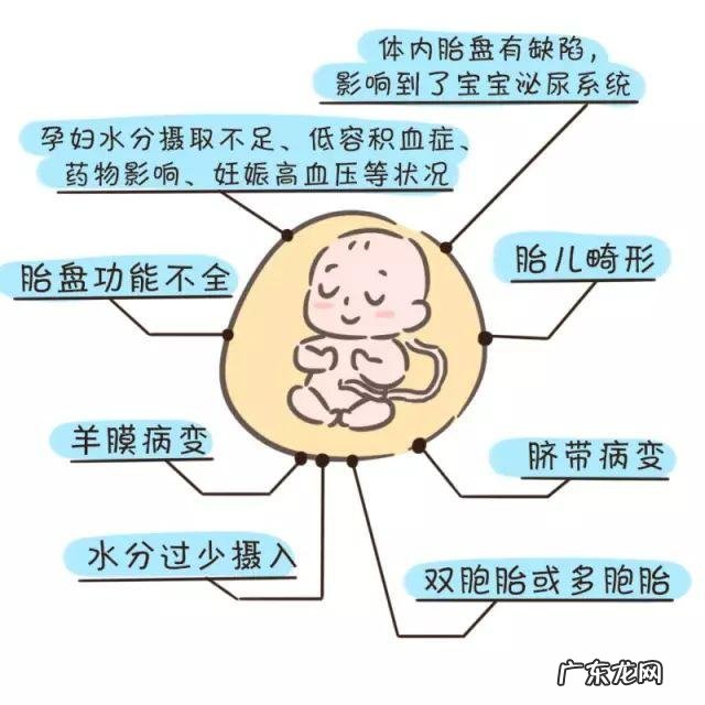 怀孕初期严重缺水会引起胎儿无脑吗?