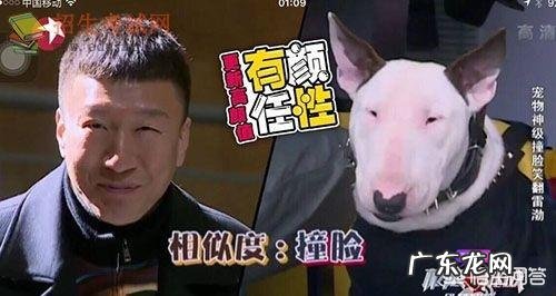 《向往的生活》第三季终于开播了，是你熟悉的味道欣喜的配方吗？