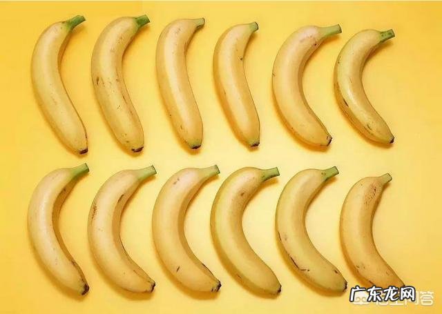 健身后，喝蛋白粉之前吃什么碳水好？