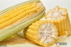 减脂期晚饭要怎么吃，一个火龙果加4块蔬菜高纤饼干可以吗？