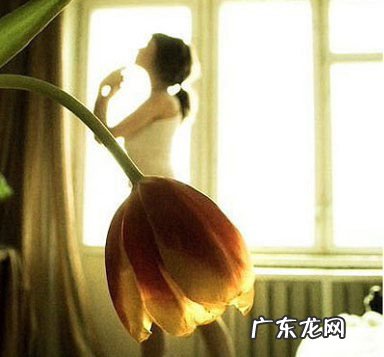 哈佛女博士后回国后……