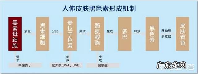 肝脏不好,身体哪里可能发黑