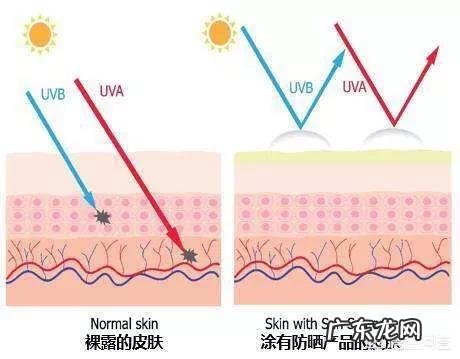 肝脏不好,身体哪里可能发黑