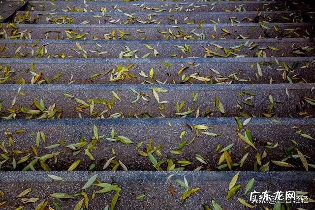 济宁秋实茶园团队是不是以销售黑茶为名的非法传销组织?