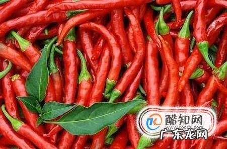 怎么判断尖椒、辣椒辣不辣？