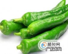 怎么判断尖椒、辣椒辣不辣？