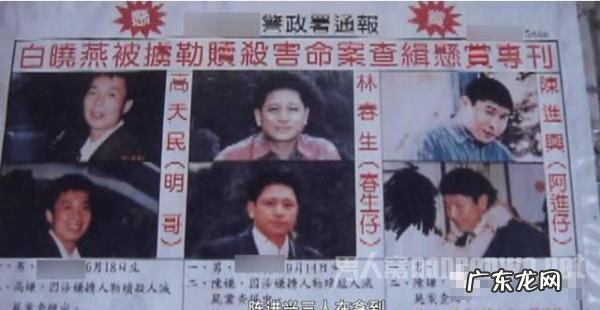 白冰冰女儿惨死真相揭秘 白冰冰买凶杀人是真的吗?