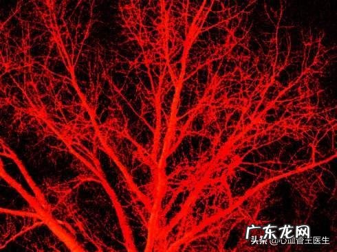 脑梗的祸首不是肥肉是什么?