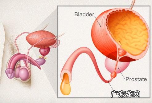 长期服用恩替卡韦会不会导致记忆力下降？ 吃恩替卡韦记忆力会下降吗