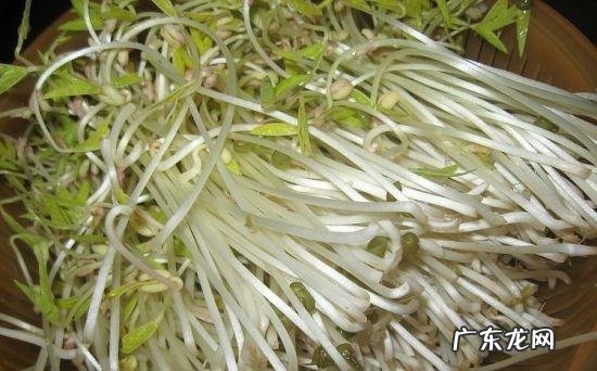 吃什么蔬菜水果可以去湿气? 祛湿气吃什么蔬菜好