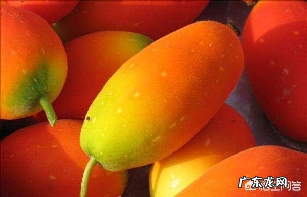 吃什么蔬菜水果可以去湿气? 祛湿气吃什么蔬菜好