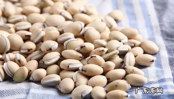 吃什么蔬菜水果可以去湿气? 祛湿气吃什么蔬菜好