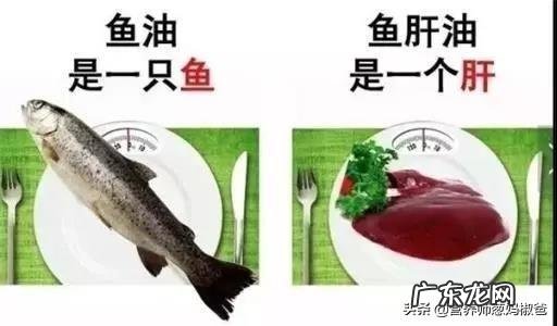 吃鱼还是吃鱼油更有营养?